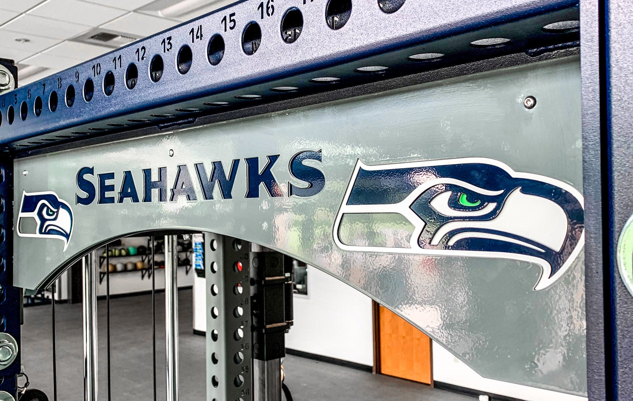 Seattle Seahawks – Sorinex