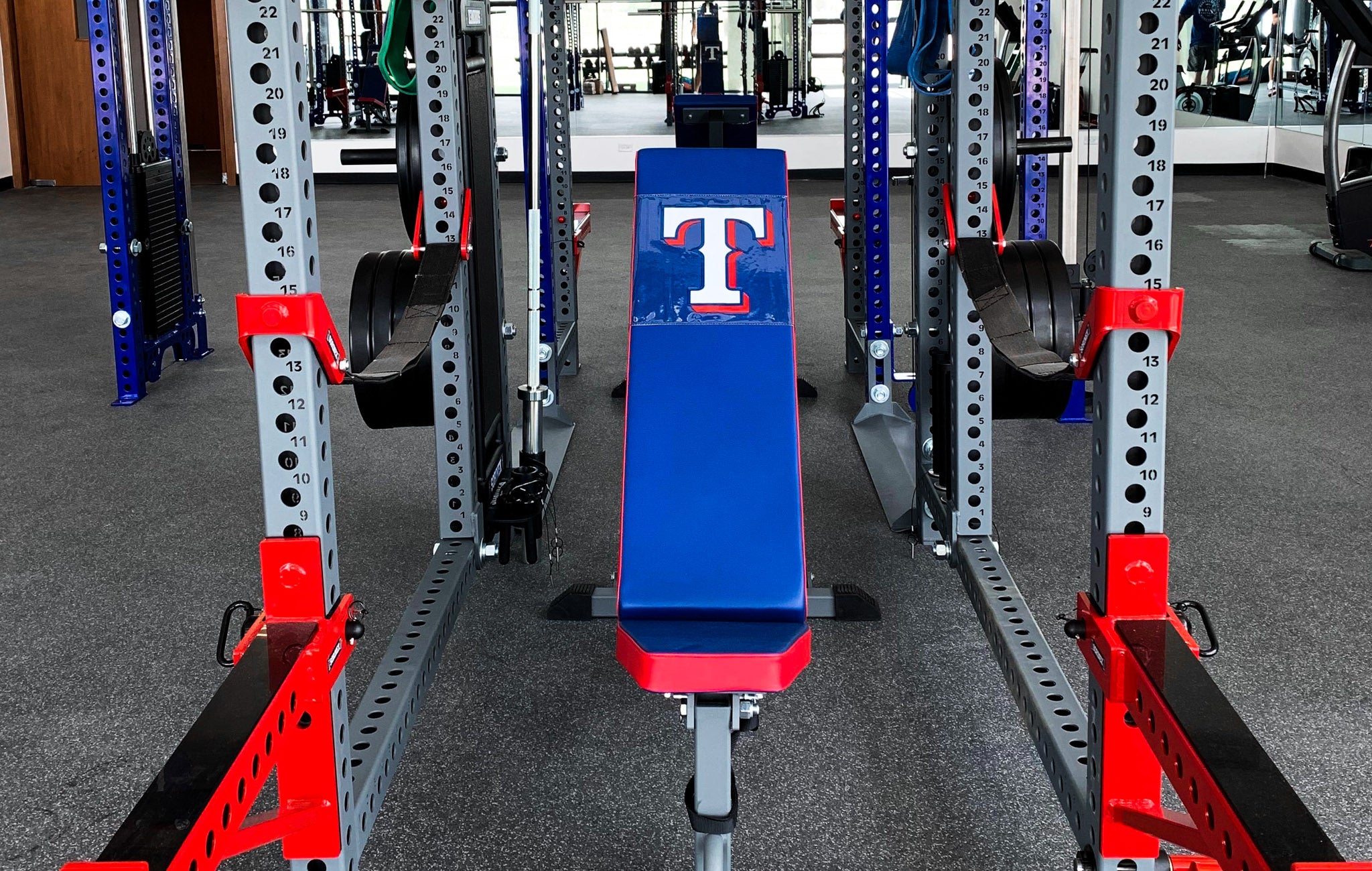Professional baseball strength training facilities