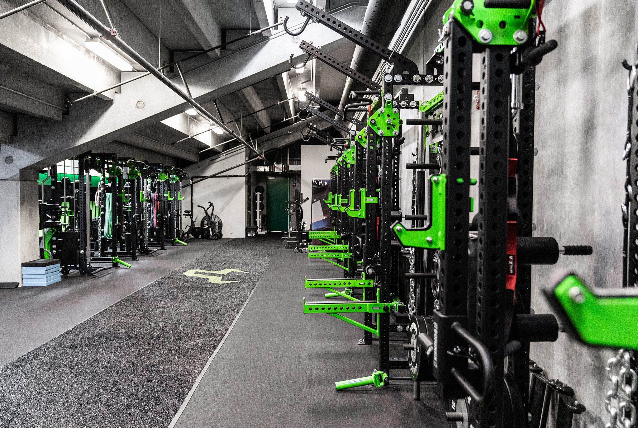 USF Baseball University South Florida Weight Room