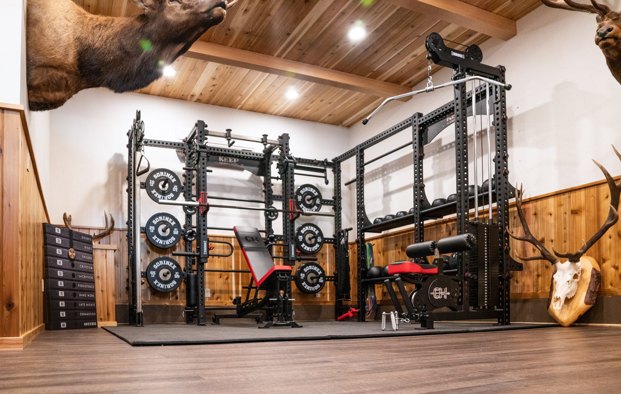 Cam Hanes Home Gym