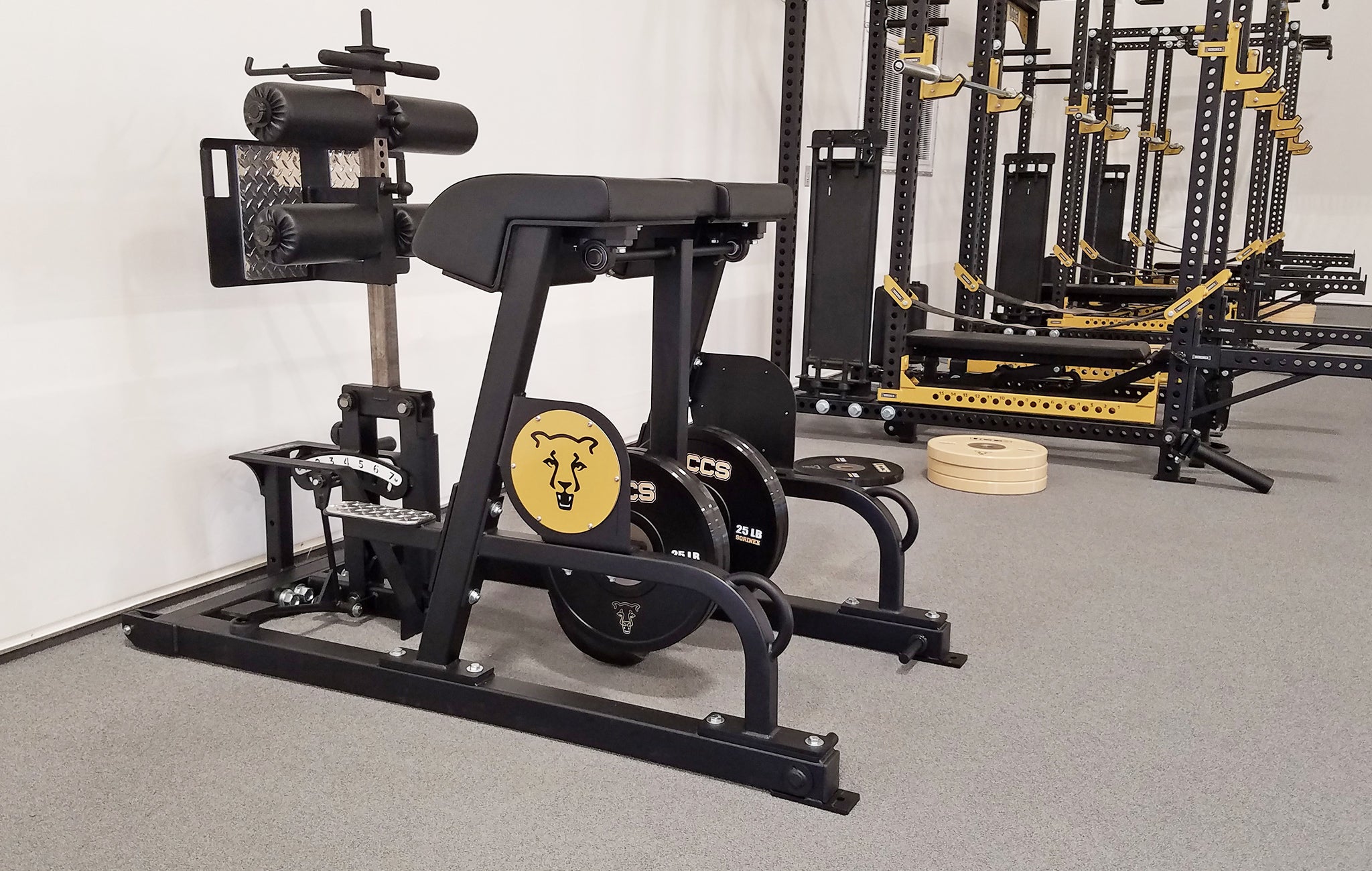 University of colorado strength training