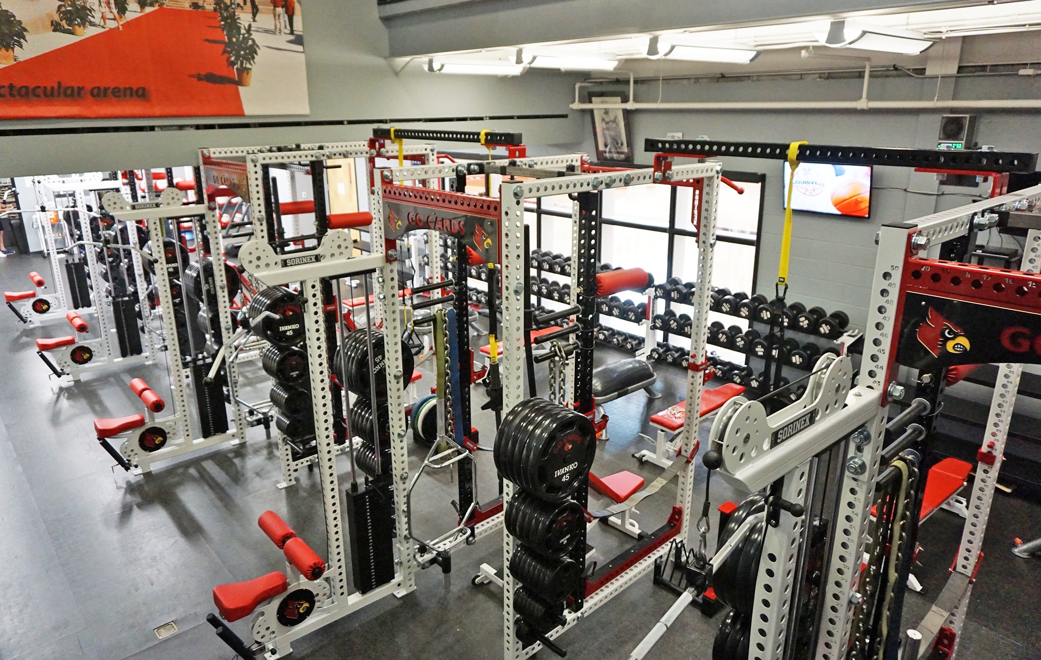 University of Louisville Basketball strength and conditioning