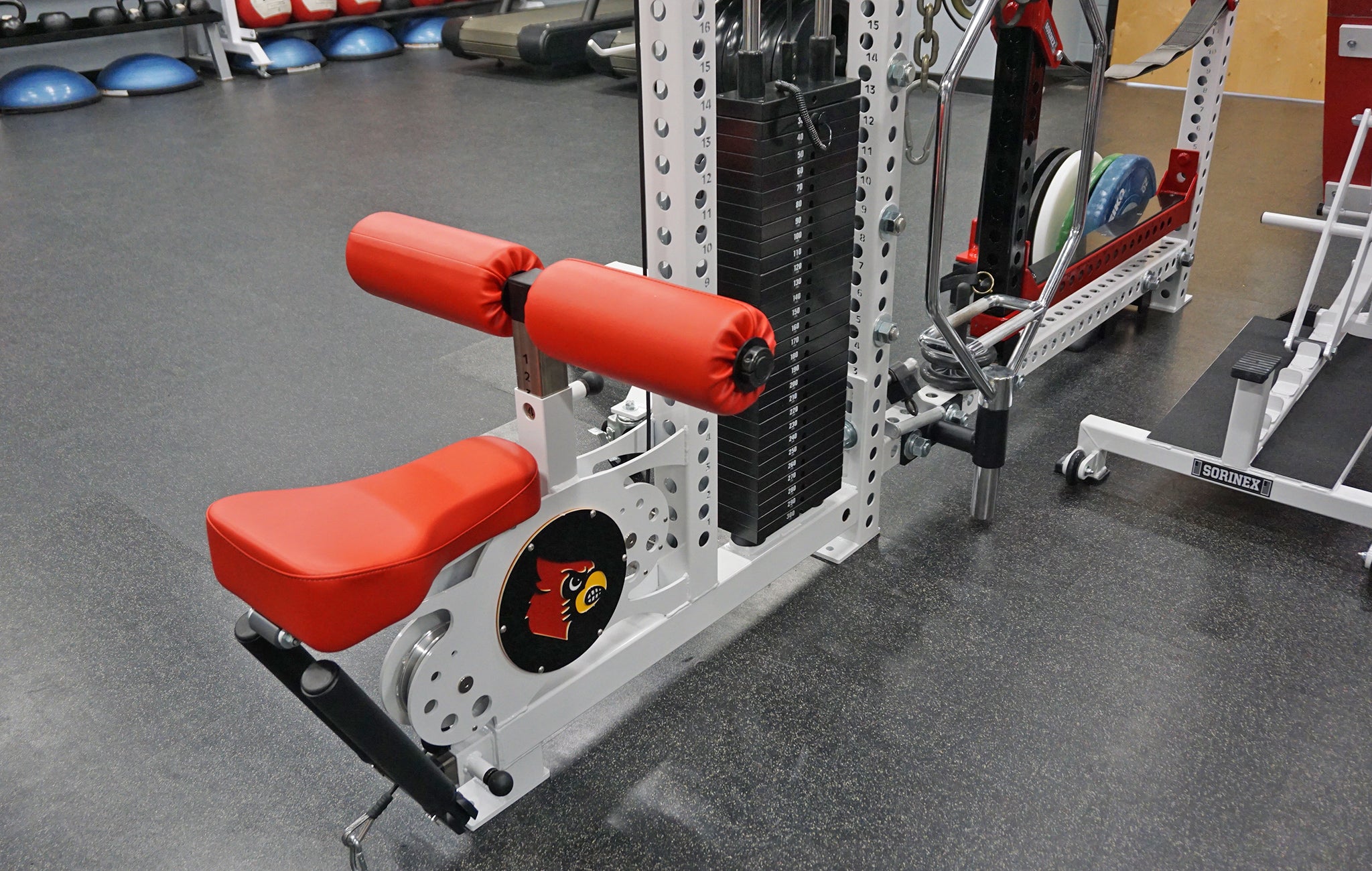 University of Louisville Basketball strength training