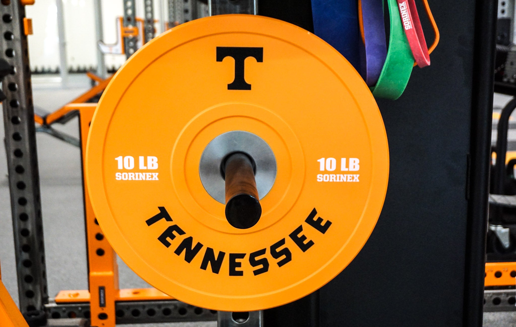 Tennessee custom bumpers