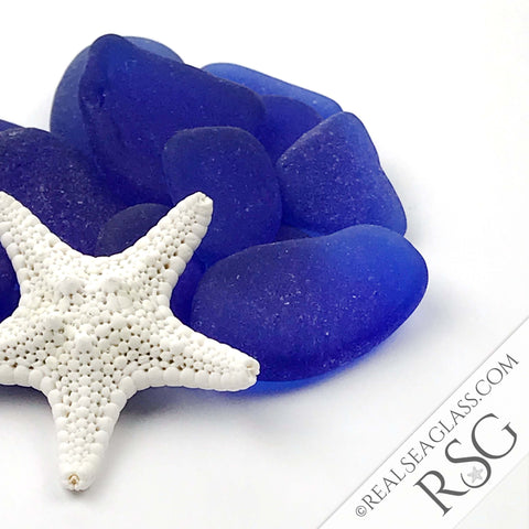 Cobalt Blue Sea Glass with Starfish