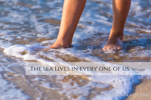 The Sea Lives in Every One of Us Sea Glass Meme