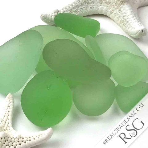 Seafoam Sea Glass by Real Sea Glass