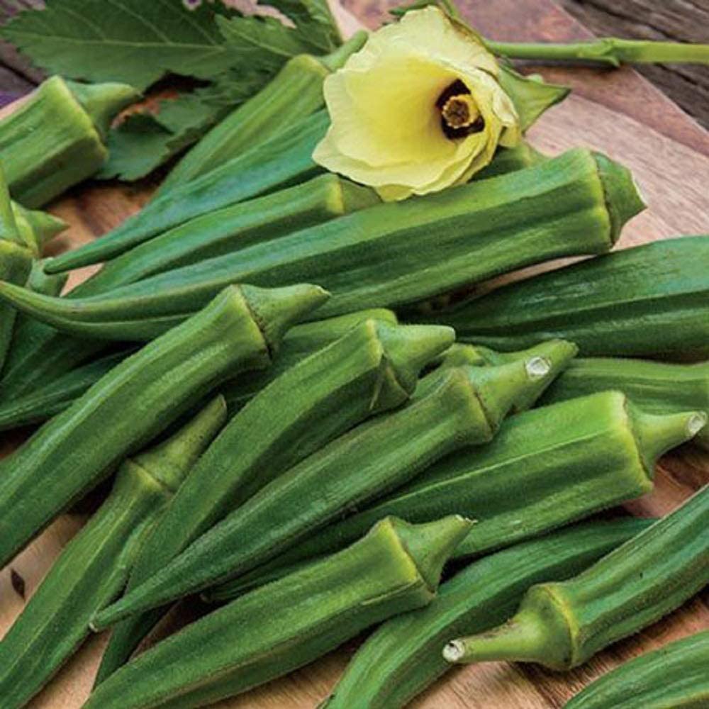 Okra Seeds, Emerald Okra Seeds, "COOL BEANS N SPROUTS" Brand. Home Gardening.