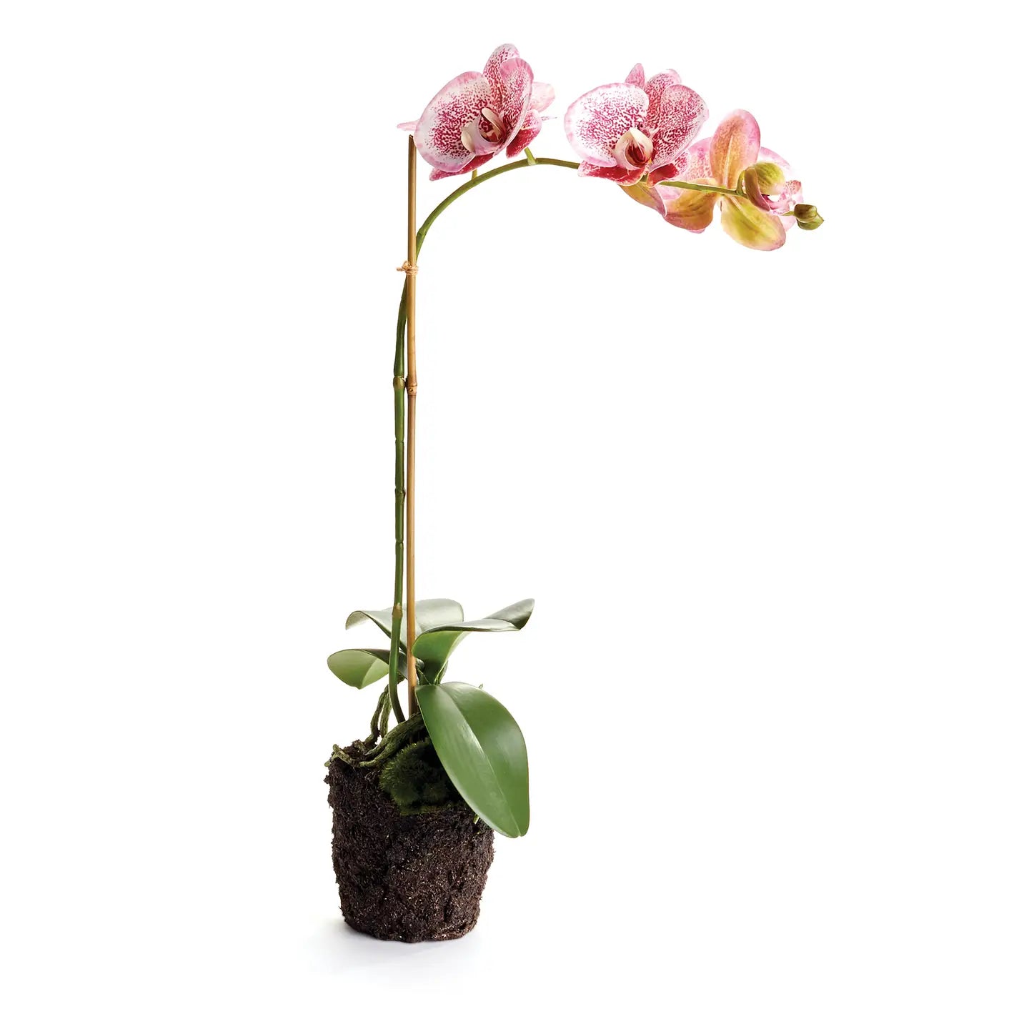 Orchid Drop-in | 21"
