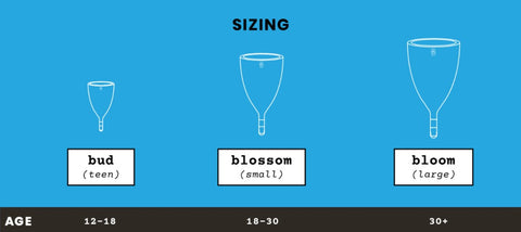 Cup Size Comparison Charts