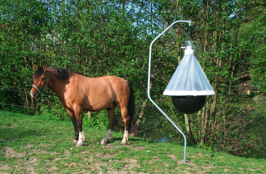 horse fly trap