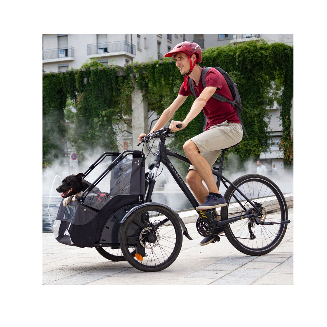 AddBike Lastenfahrrad DogKit bikings