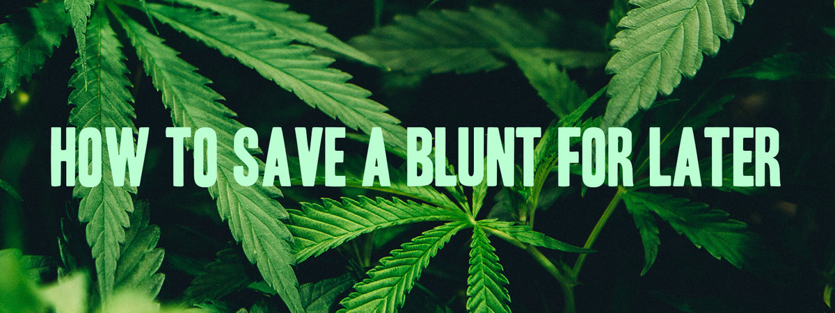 
		How to Save a Blunt For Later
	