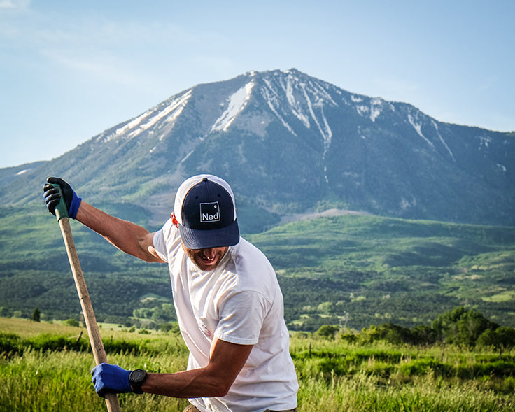 Organic and Biodynamic Hemp Farm