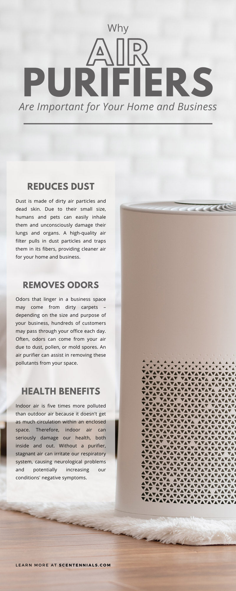 Why Air Purifiers Are Important for Your Home and Business