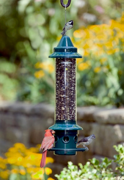 Download Squirrel Buster Seed Feeders - Wild Bird Chalet