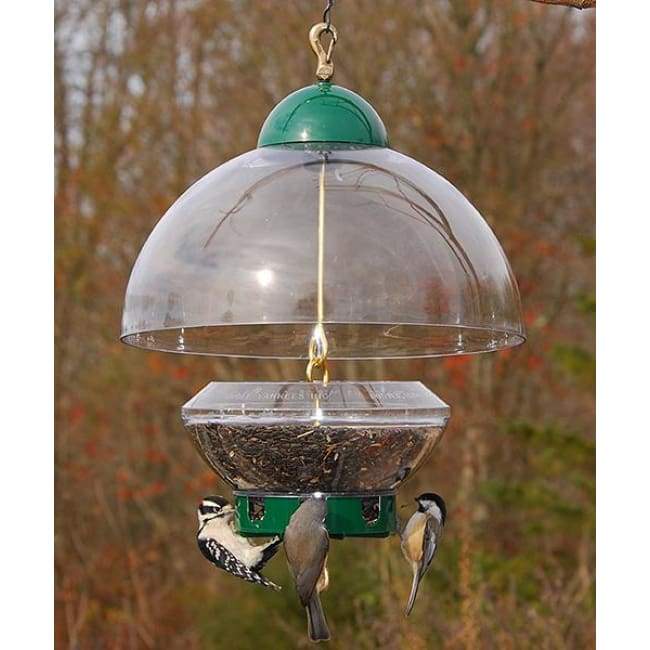 top squirrel proof bird feeders