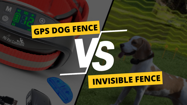 GPS Dog Fence Collar vs Invisible Fence