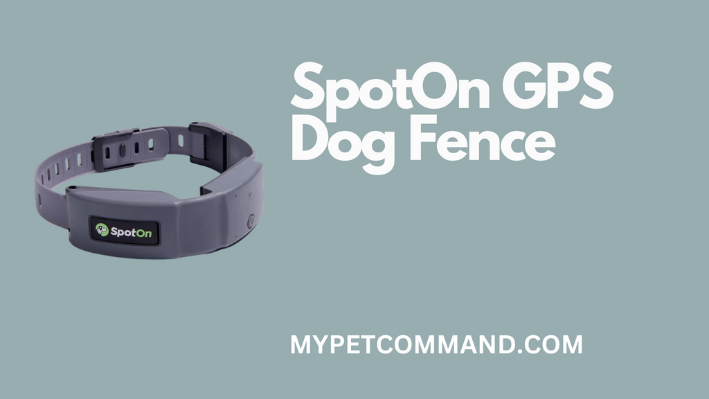 SpotOn GPS Dog Fence
