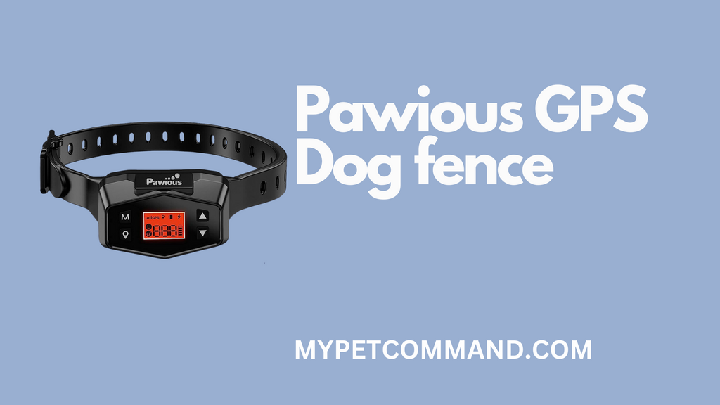 Pawious GPS Dog Fence