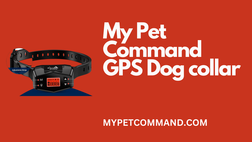 My Pet Command GPS Dog collar
