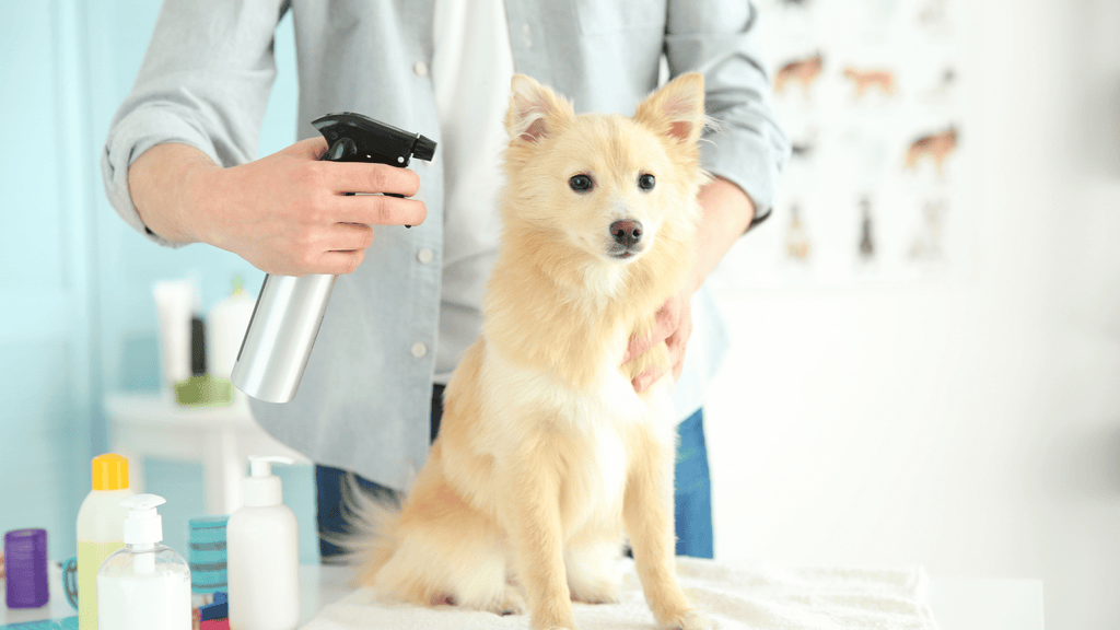 Wag'n Tails Mobile dog groomer