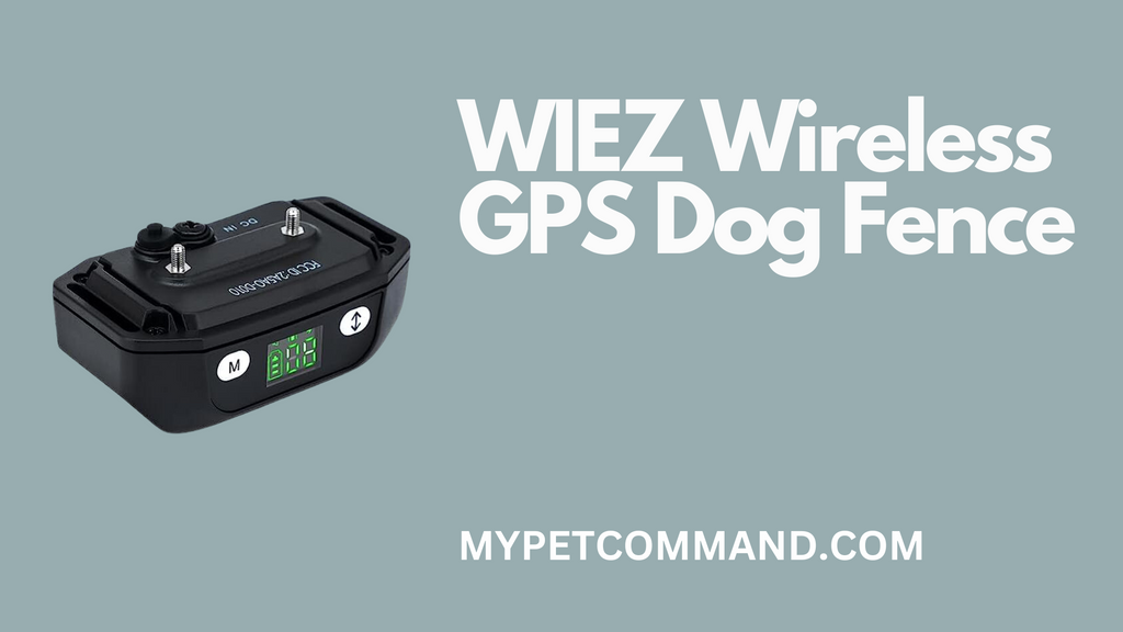 WIEZ Wireless GPS Dog Fence