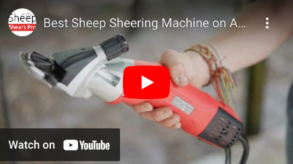 Sheep Shears - 5. Coburn