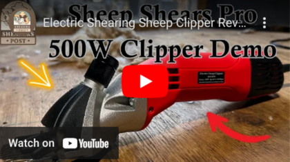 500W Electric Sheep Shears, Professional Sheep Clipper with 6 Speeds,  Electric Goat Shears for Sheep, Goats, Cattle, Farm Livestock Pet and Heavy  Duty