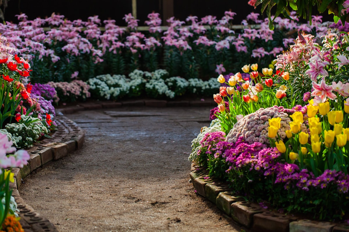 Beautifying Your Garden in 5 Steps – ECOgardener