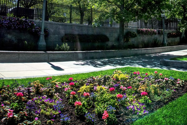 garden along the walkway