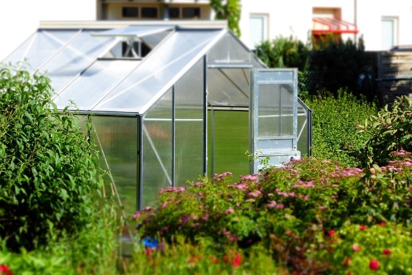 Large Greenhouse Construction