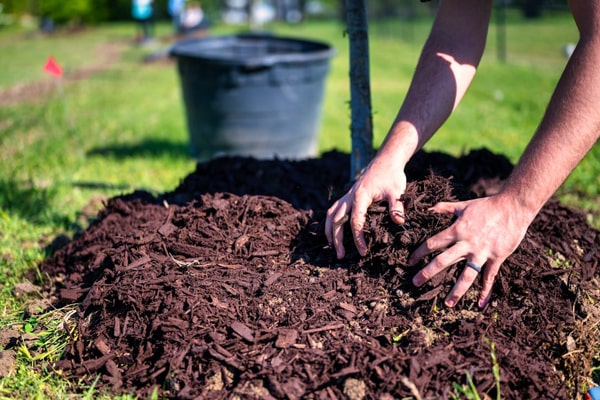 hands mixing mulch