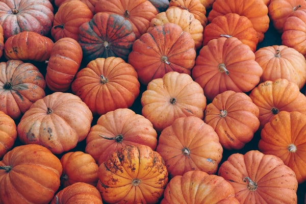 a bunch of pumpkins