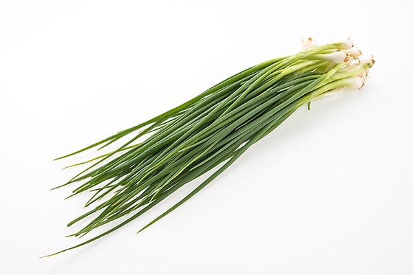 Chives herb