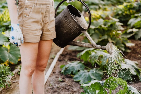 woman watering plants
