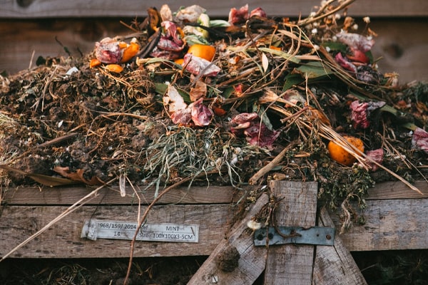 compost vegetable and fruits