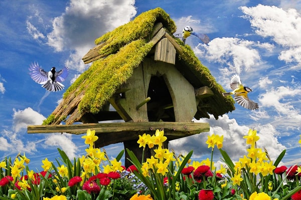 flower garden with bird house