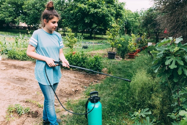 woman spraying on the garden