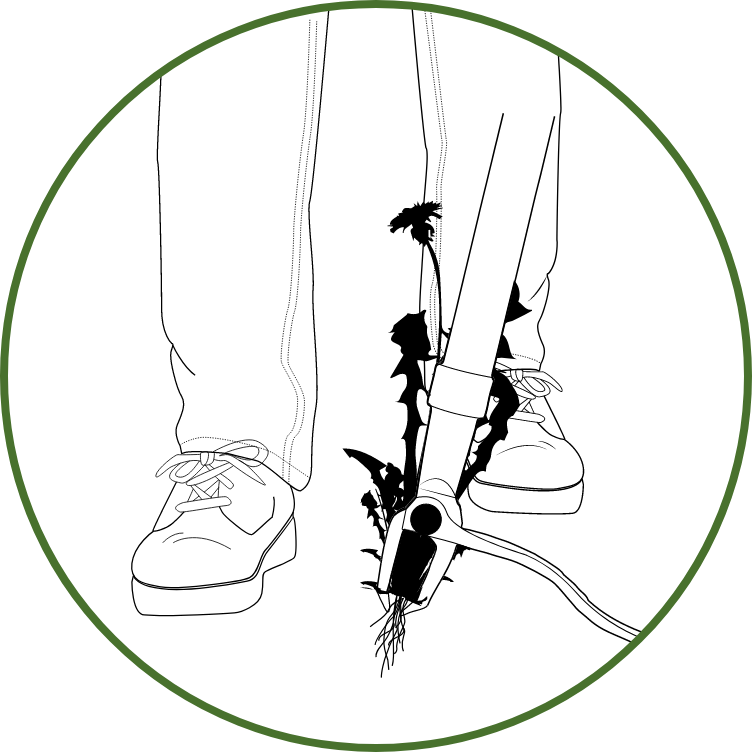 A graphic showing the weed puller removing the weed.