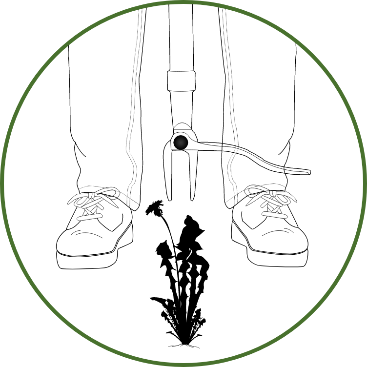 A graphic showing the weed puller being centered over the weed