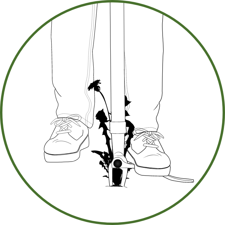 A graphic showing the weed puller being pressed into the ground.