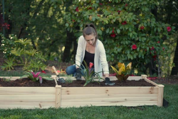 woman planting flowers to the raised beds