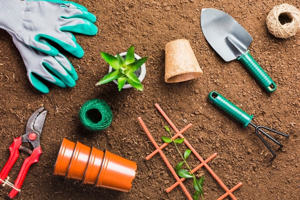Cleaning and Sterilizing Safe Plastic Gardening Tools and Equipment