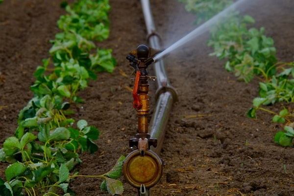 garden water sprinkler