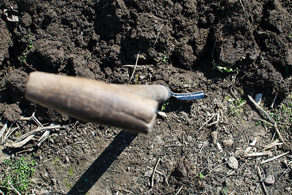 Plowing soil