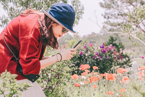 woman taking pictures to flower