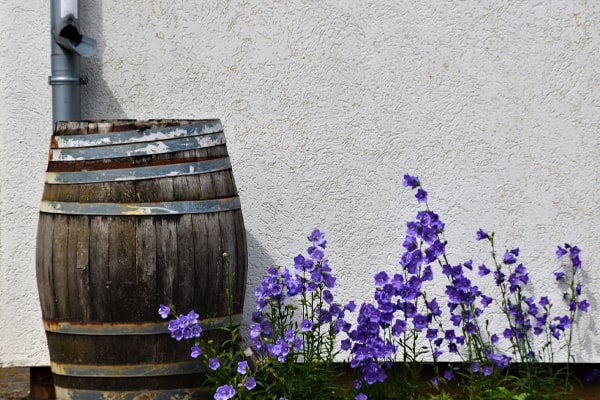 rain barrels