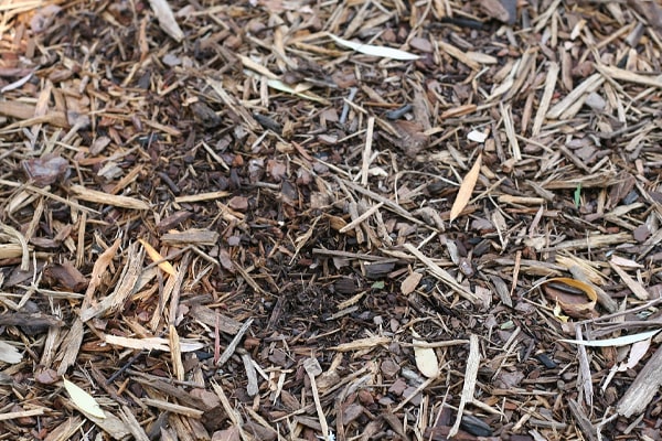 mulch