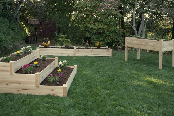 Everything You Want to Know About Raised Garden Beds
